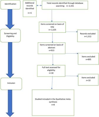 A qualitative meta-synthesis of studies of patients' experience of exercise interventions in advanced cancer